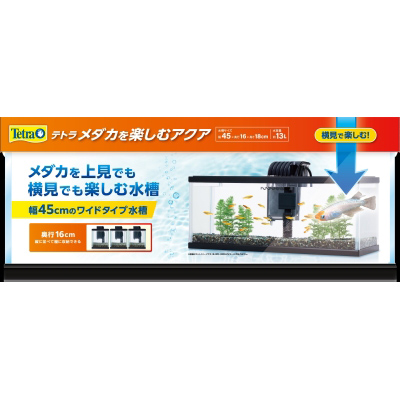 テトラ　メダカを楽しむアクア