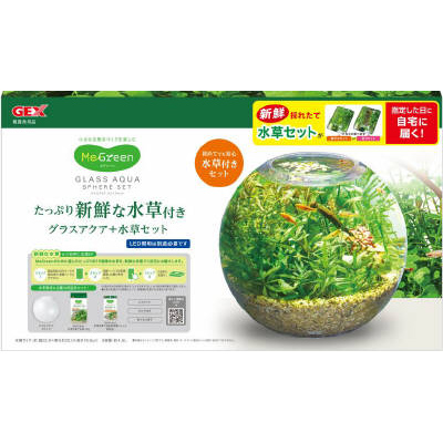 ＧＥＸ　ＭｅＧｒｅｅｎ　新鮮な水草付き　グラスアクアスフィアセット