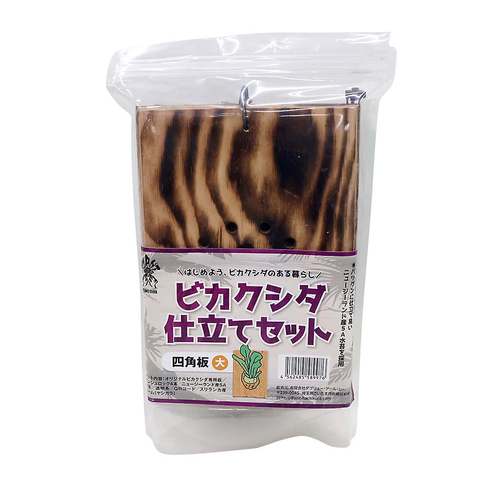 バージンコルクディスプレイ 大 | ジョイフル本田 取り寄せ＆店舗受取