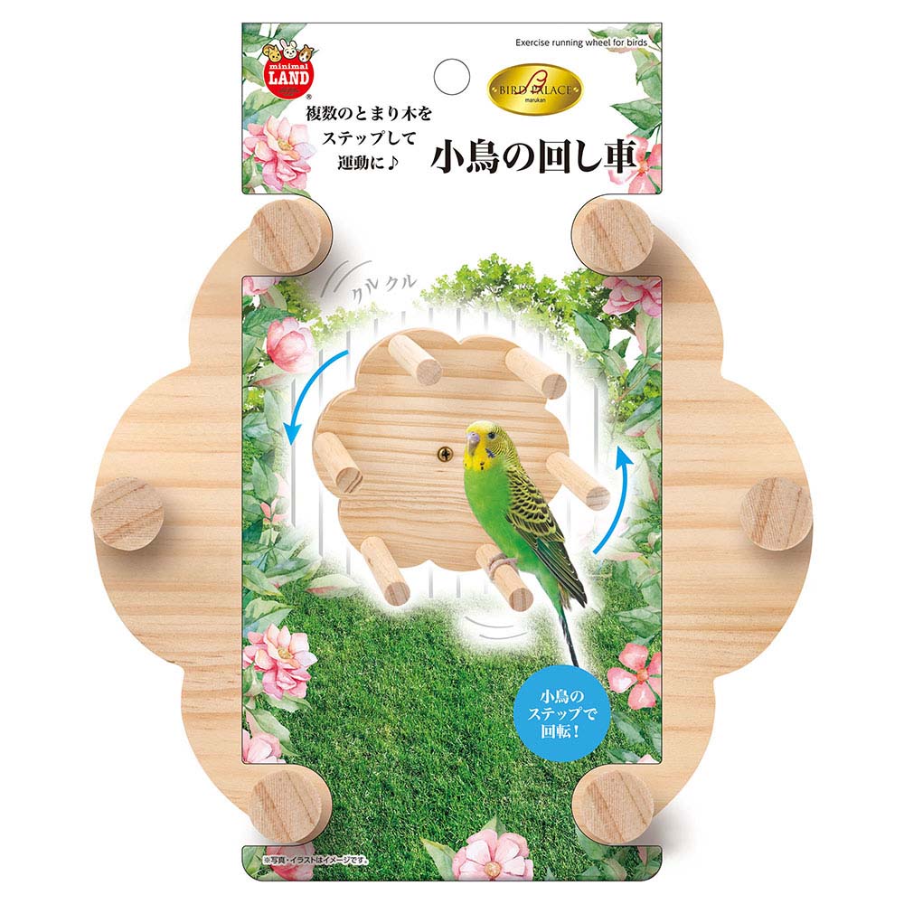 リトルママ 小型自動孵卵器 DX-8800XP | ジョイフル本田 取り寄せ