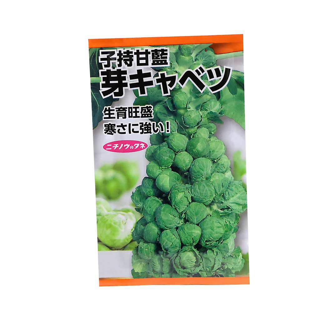 種 | ジョイフル本田 取り寄せ＆店舗受取