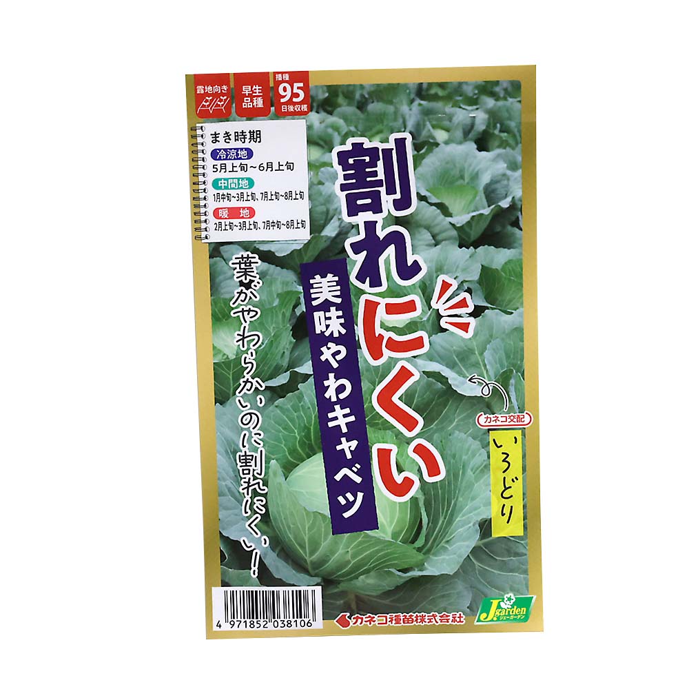 ネギ ネギ 極太一本ねぎ 夏扇パワー 春秋兼用 | ジョイフル本田 取り寄せ