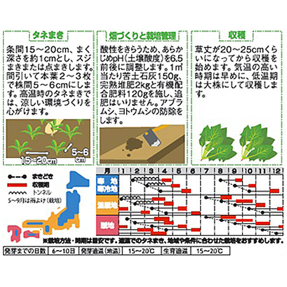 改良日本ほうれん草_パレード　春秋兼用
