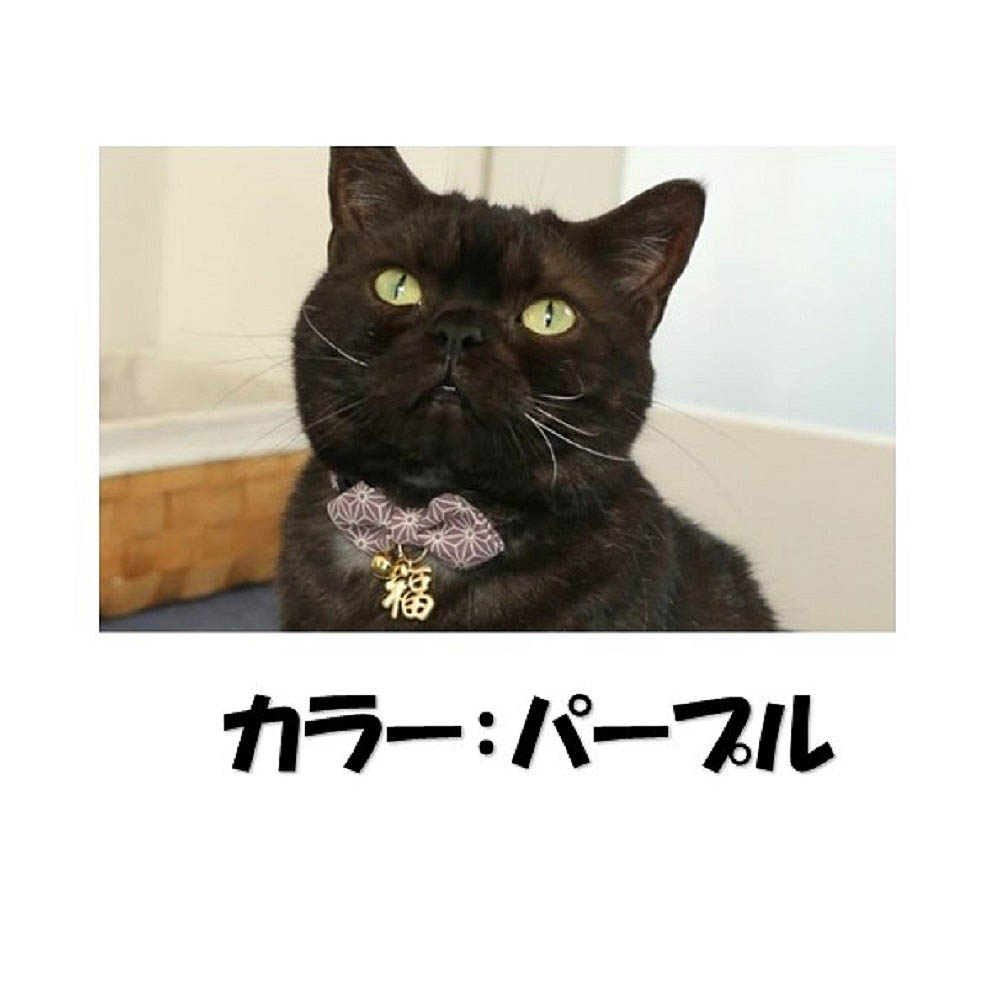 アモワークス　猫首輪福まねき猫Ｓパープル