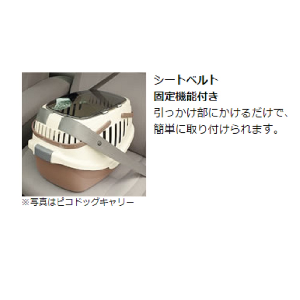 リッチェル ピコキャリー パープル