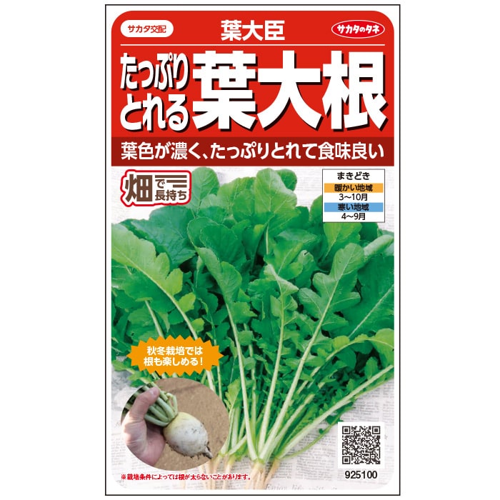 ダイコン＿葉大臣　春秋兼用