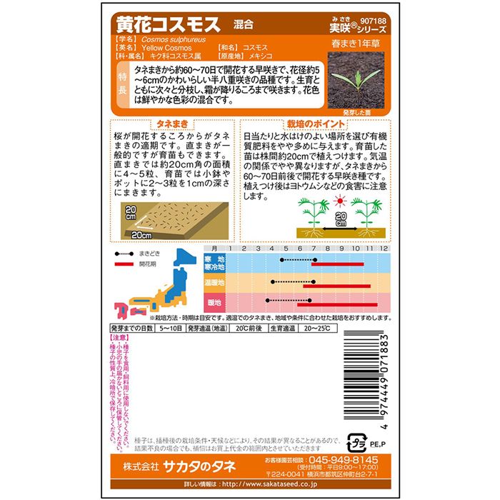 コスモス＿黄花コスモス＿混合　春まき