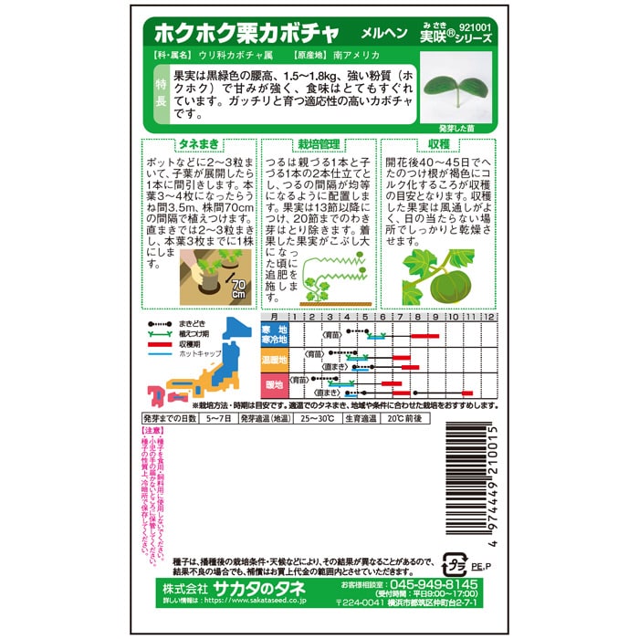 カボチャ＿ホクホク栗カボチャ＿メルヘン　春まき
