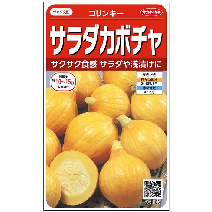 カボチャ＿サラダカボチャ＿コリンキー　春まき