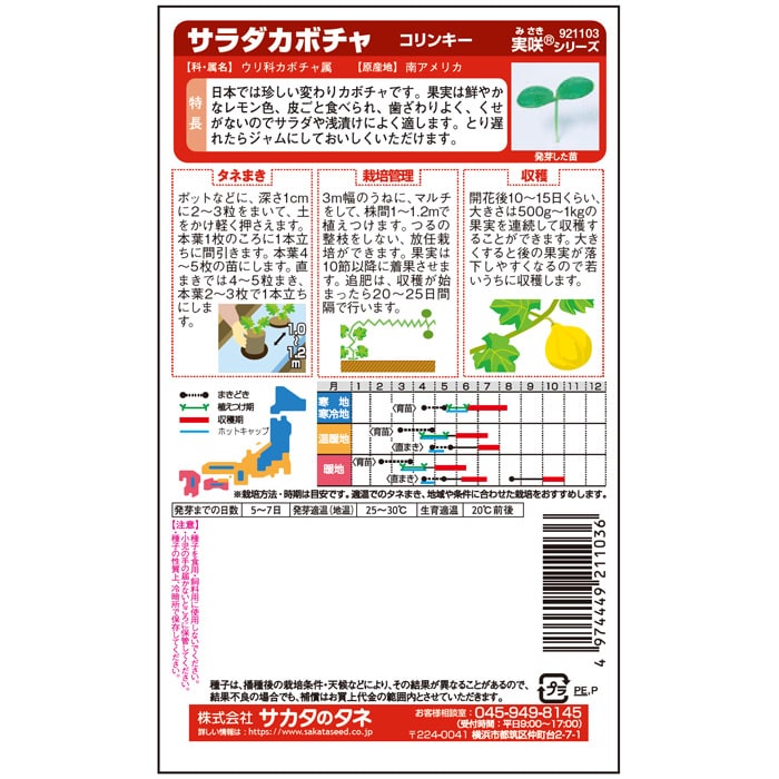 カボチャ＿サラダカボチャ＿コリンキー　春まき
