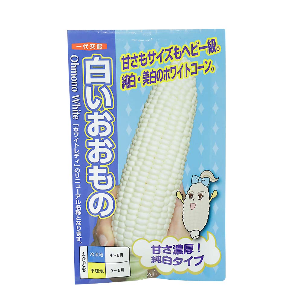 白いおおもの 小袋　春まき