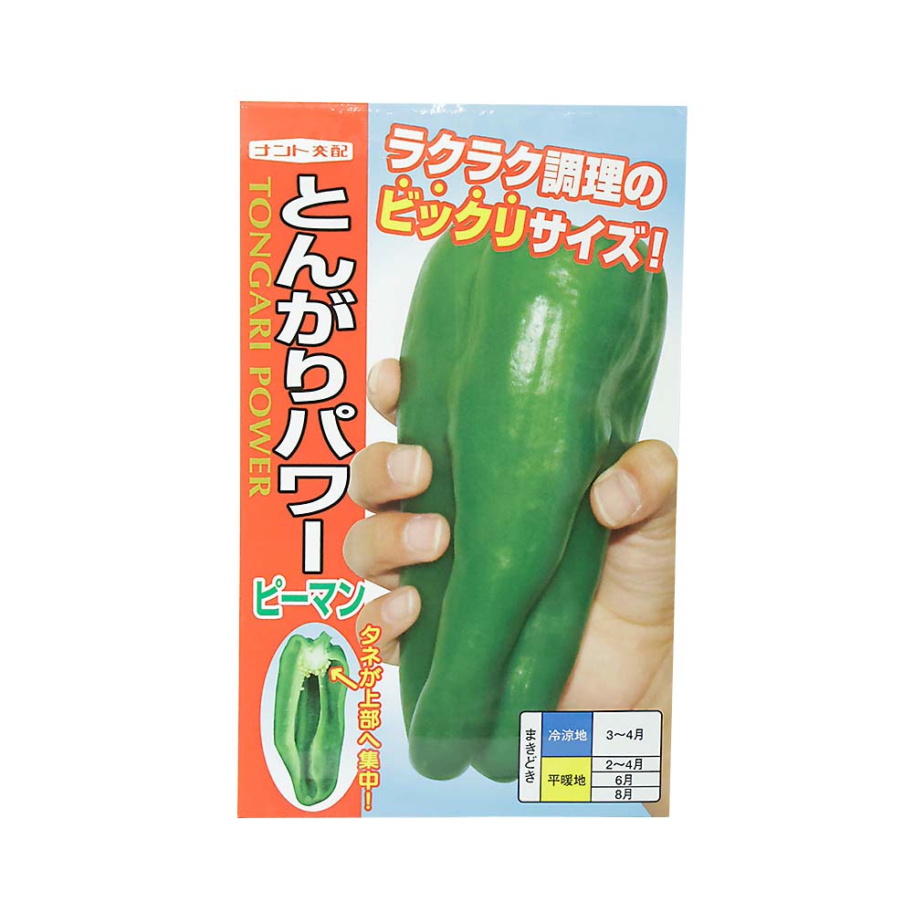とんがりパワー　春まき