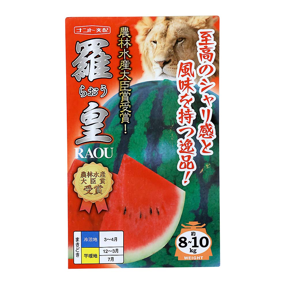 羅皇　春まき