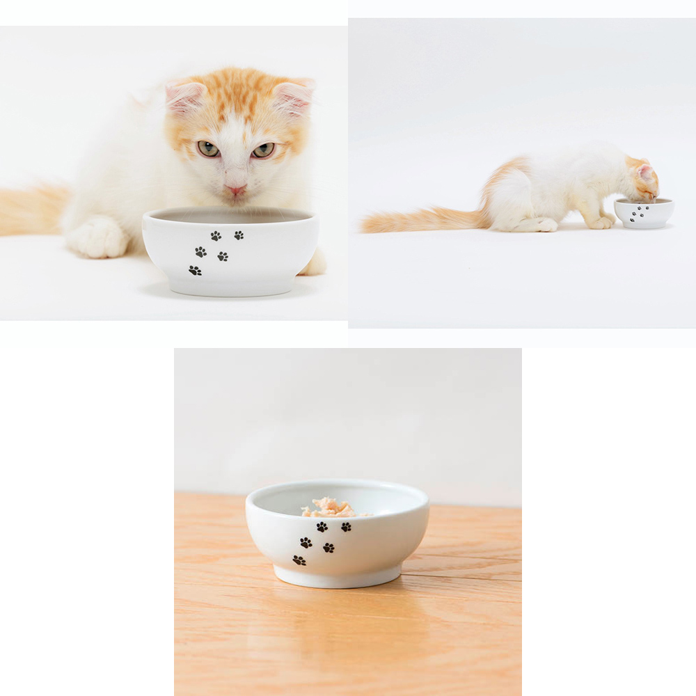 フードボウル　猫柄
