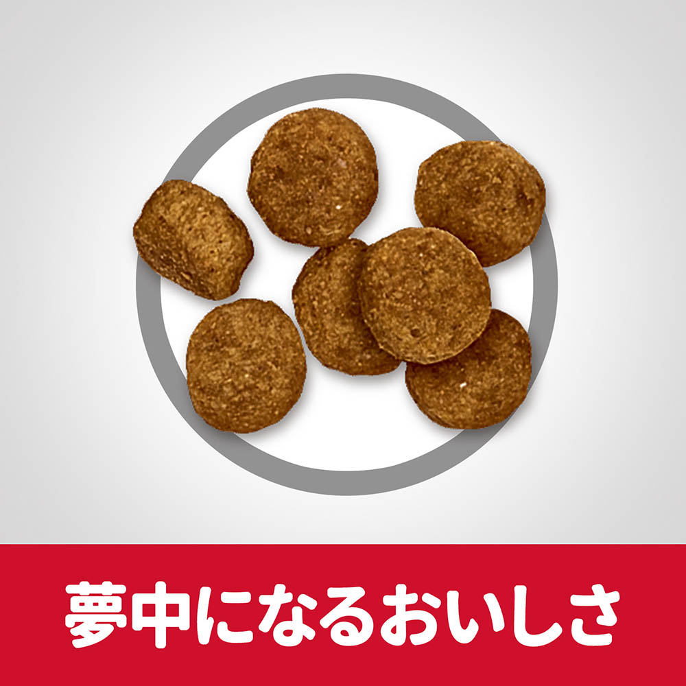 シニアコツブセイケンヨウ　１２ｋｇ