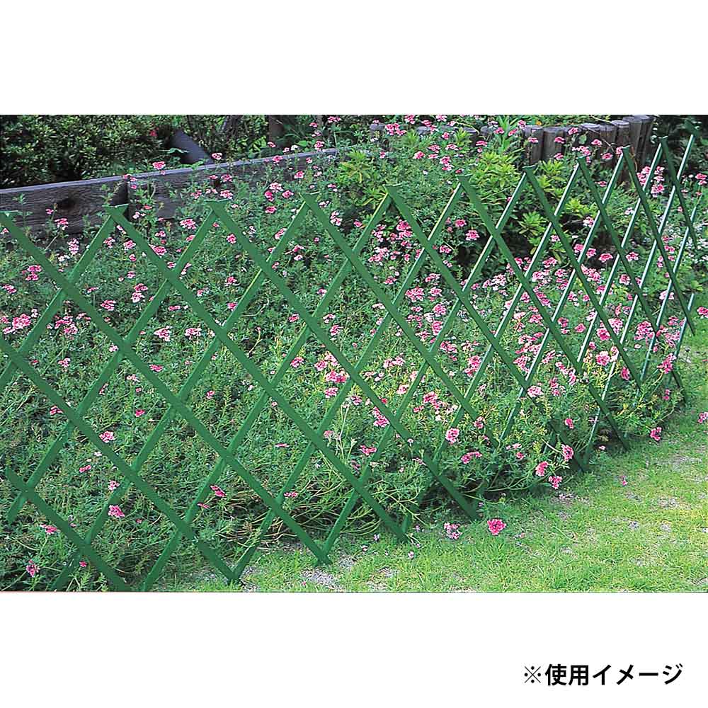 木製伸縮トレリス 80x200cm グリーン　WT-208G