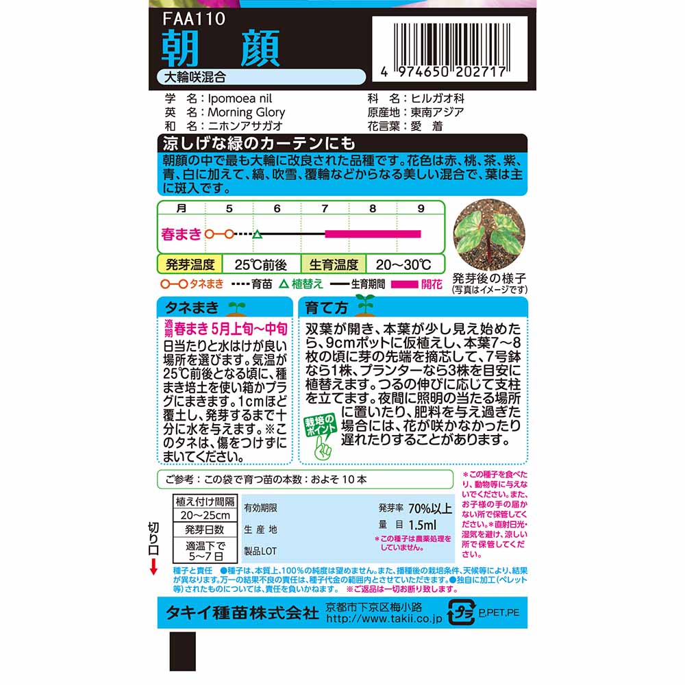 朝顔 大輪咲混合　春まき