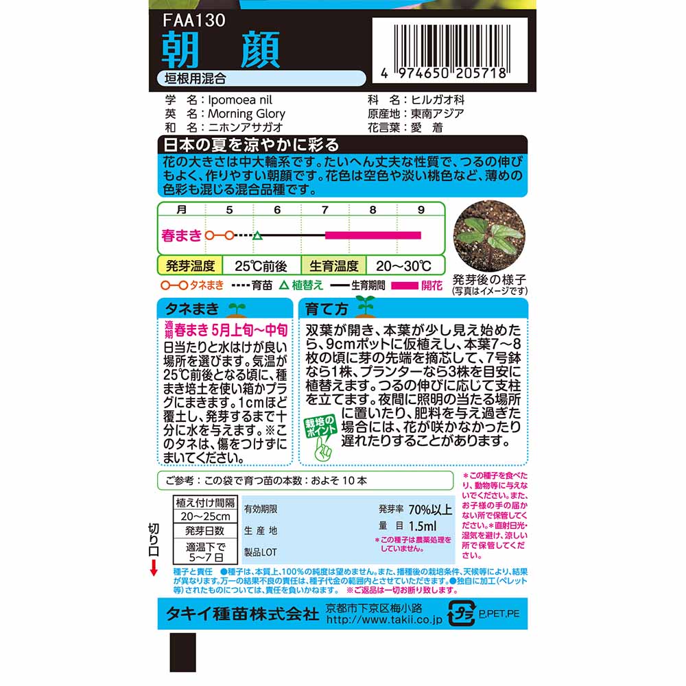 朝顔 垣根用混合　春まき