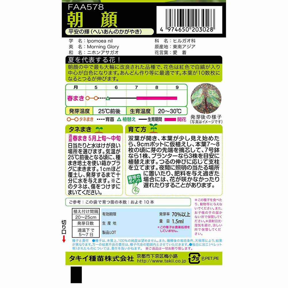 朝顔 平安の輝　春まき