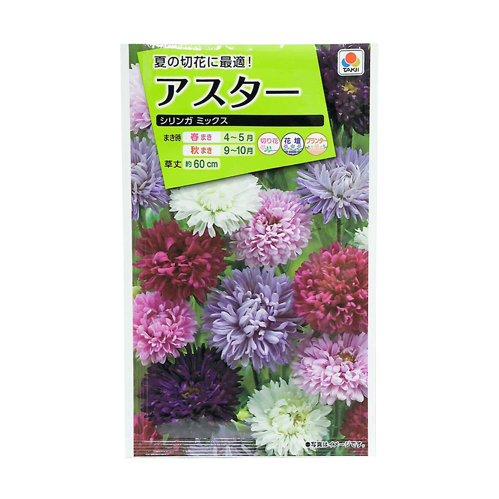 アスター シリンガミックス　春まき