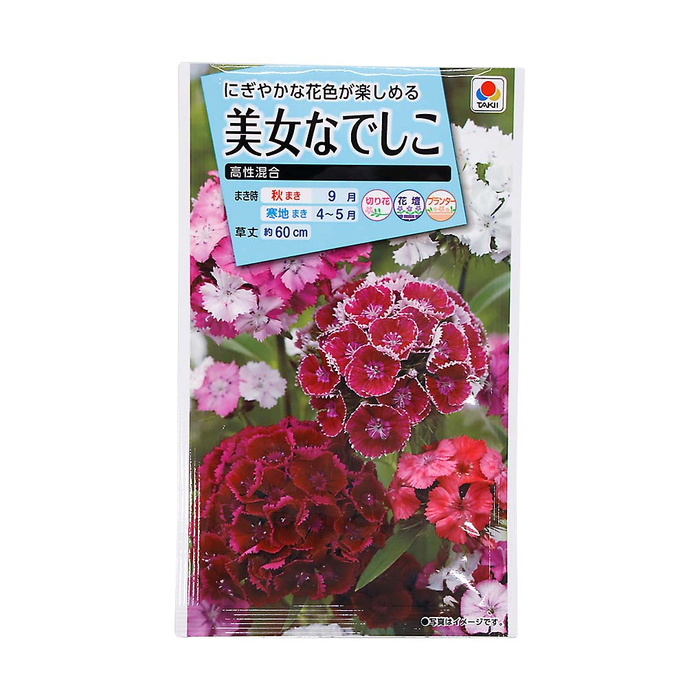 美女なでしこ 高性混合　春秋兼用