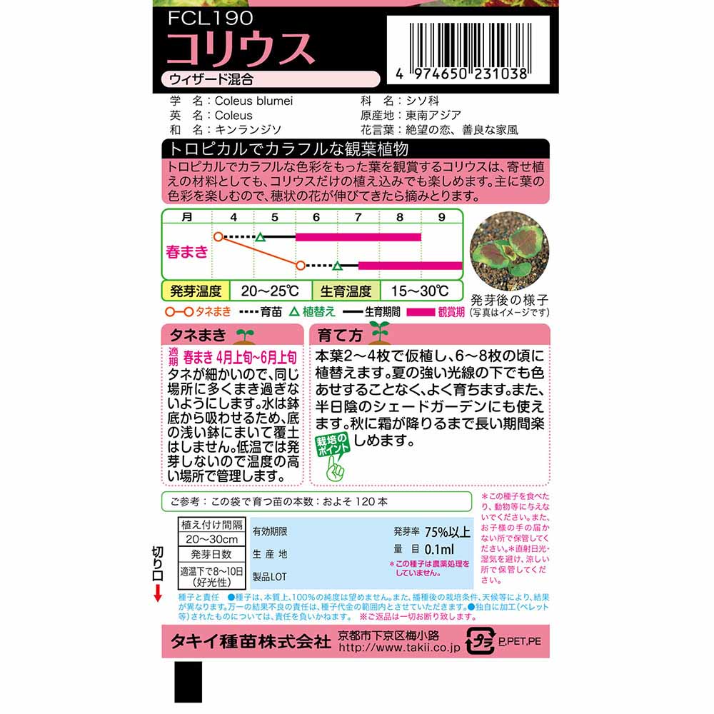 コリウス ウィザード混合　春まき