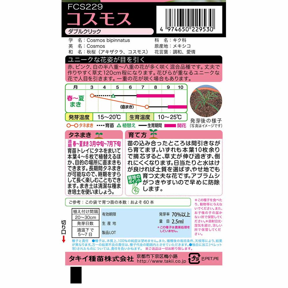 コスモス ダブルクリック　春まき