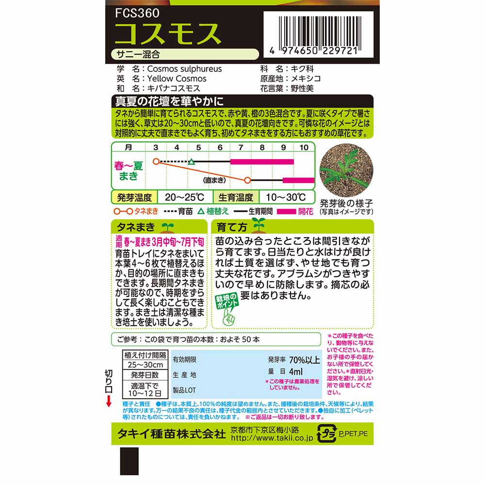 コスモス サニー混合　春まき