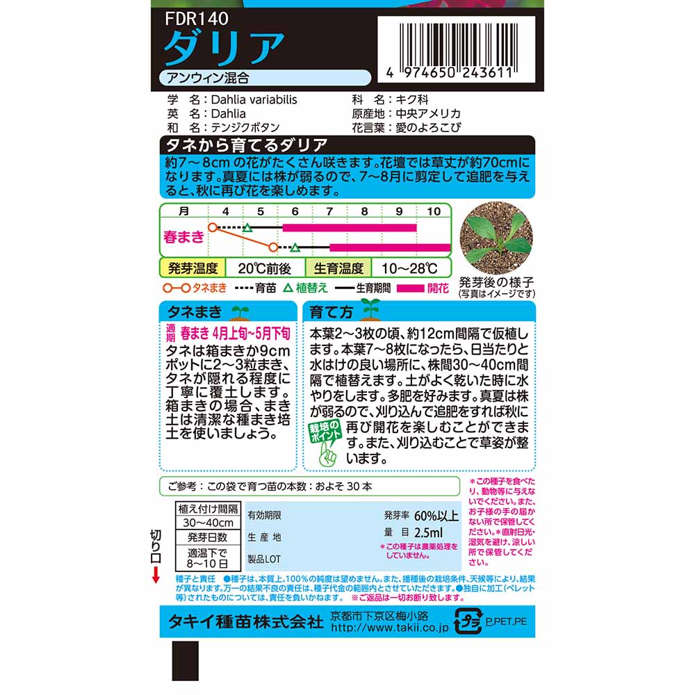 ダリア アンウィン混合　春まき