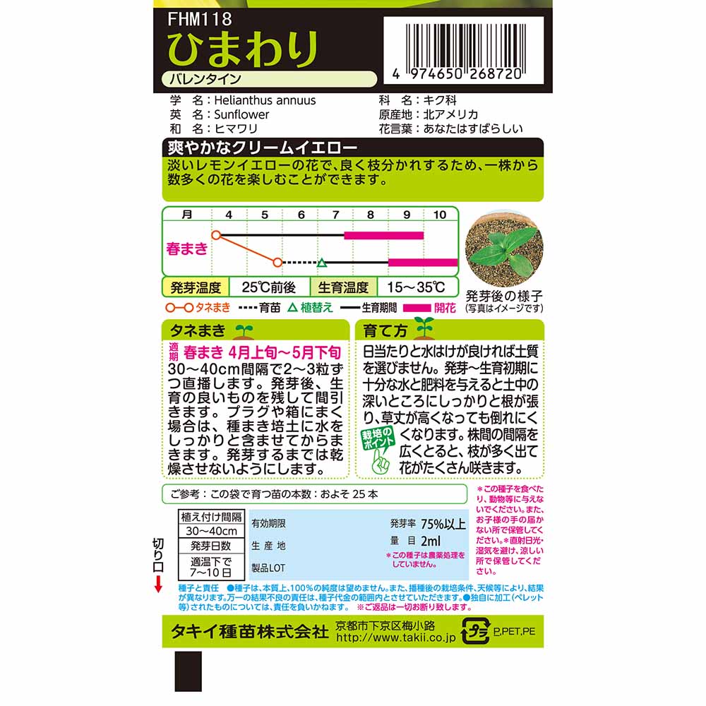 ひまわり バレンタイン　春まき