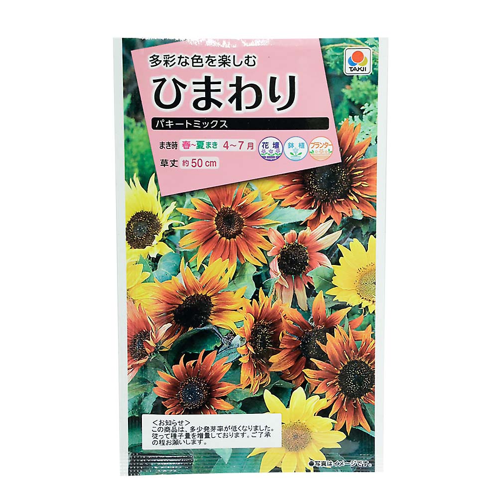 ひまわり パキートミックス　春まき
