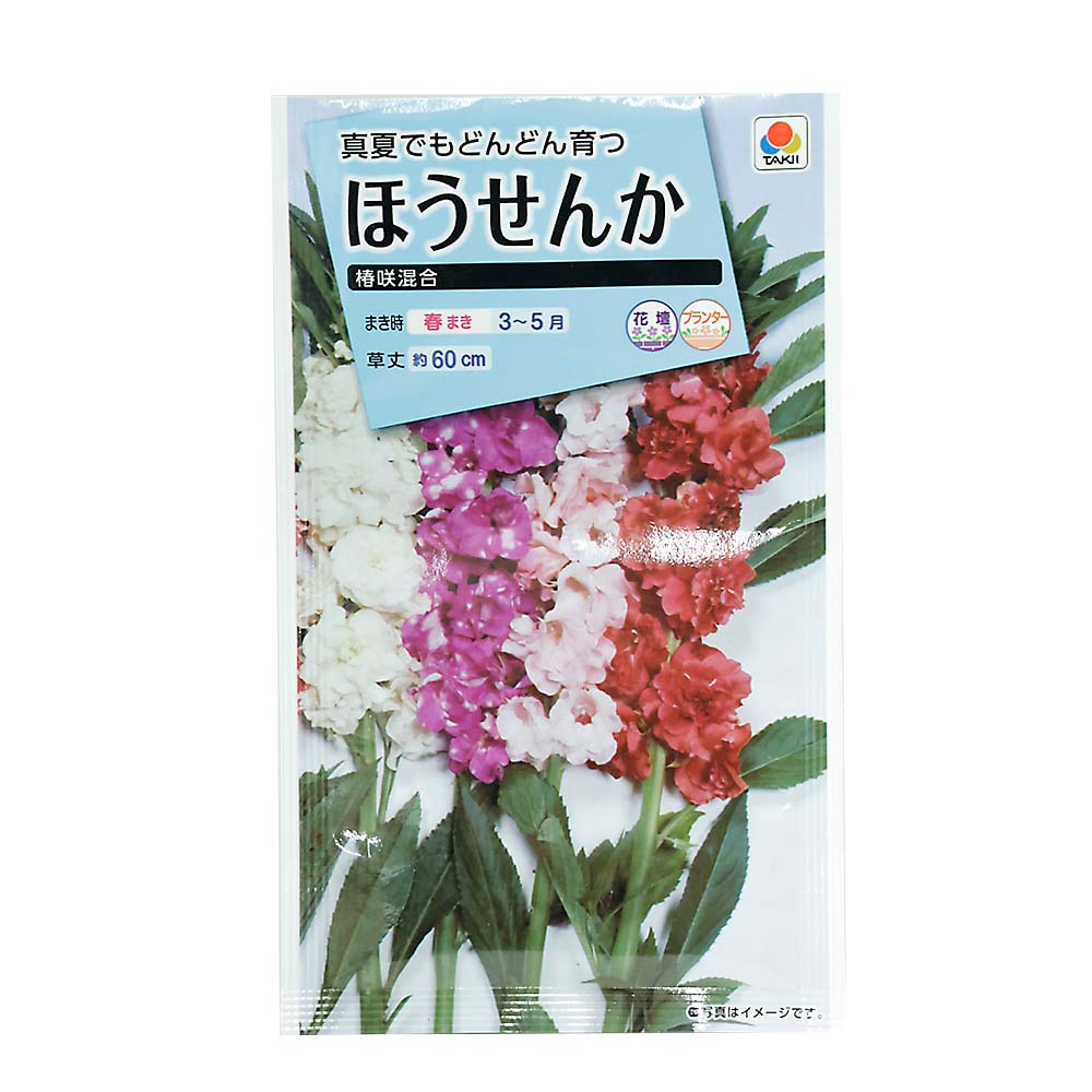 ほうせんか 椿咲混合　春まき