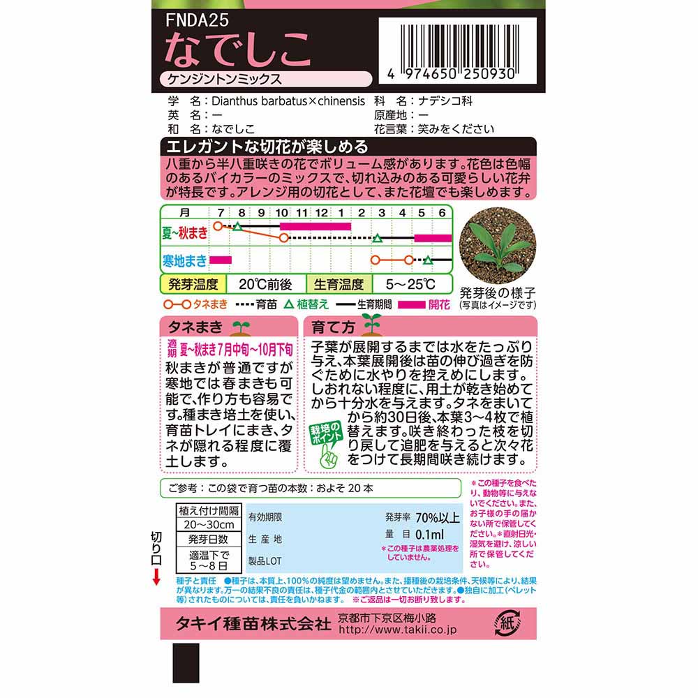 なでしこ　ケンジントンミックス　秋まき