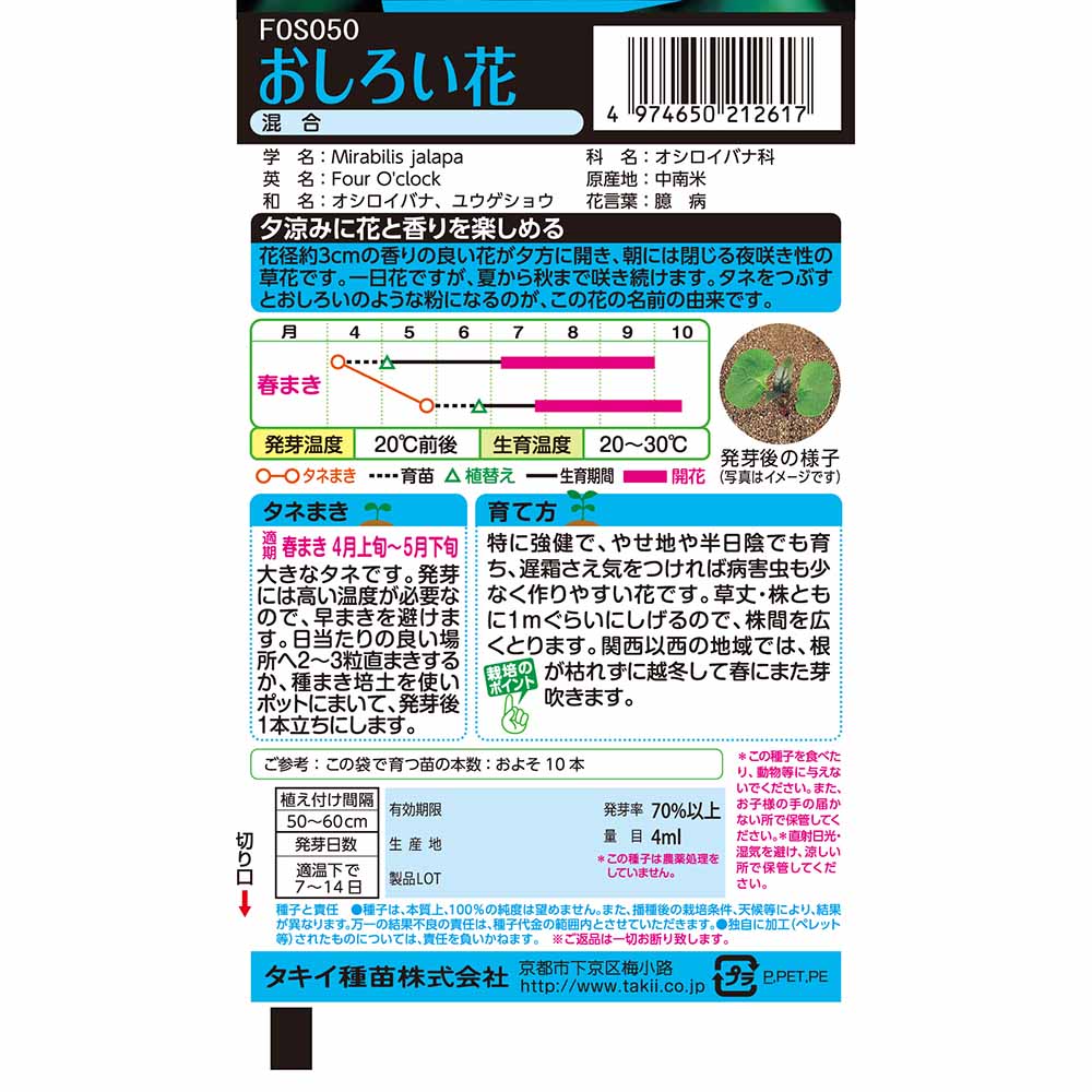 おしろい花 混合　春まき