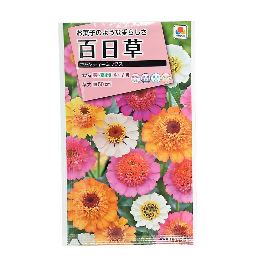 百日草 キャンディーミックス　春まき
