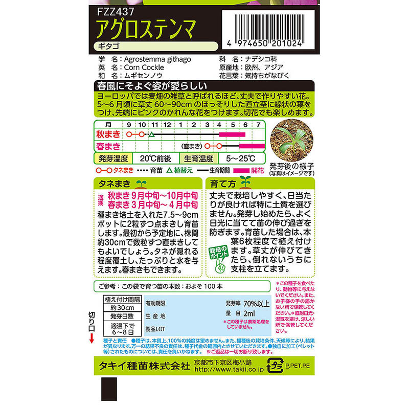 アグロステンマ ギタゴ　春秋兼用
