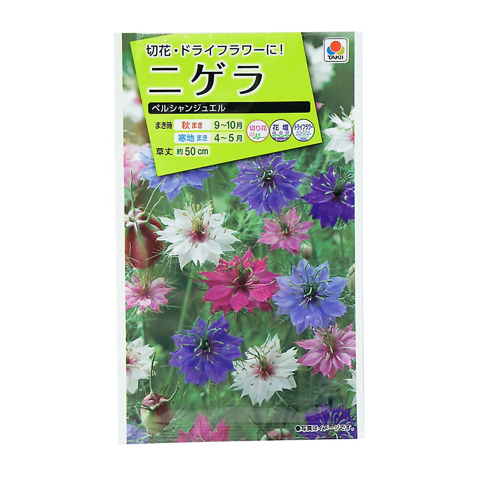 ニゲラ ペルシャンジュエル　春秋兼用