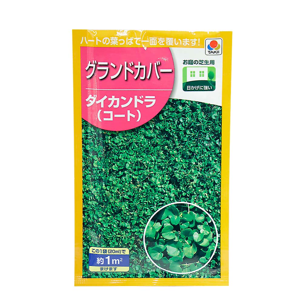ダイカンドラ(コート種子)20ml　春秋兼用