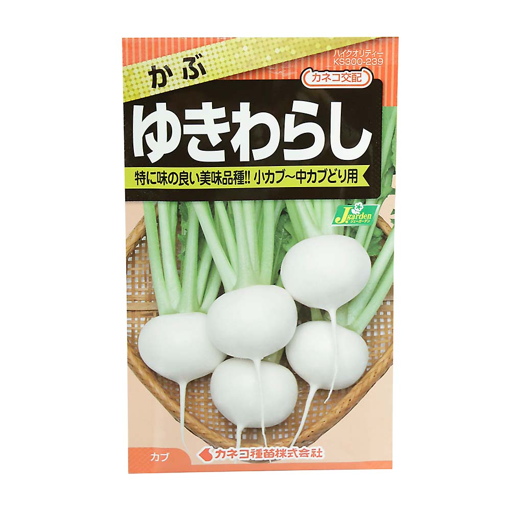 カブ ゆきわらし　春秋兼用