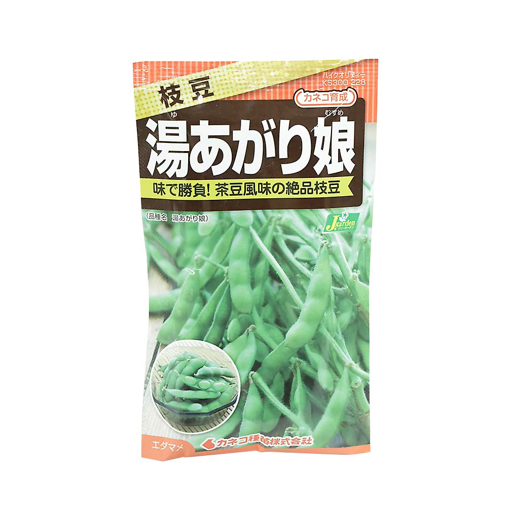 エダマメ 中早生 湯あがり娘　春まき