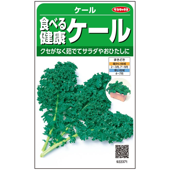 ケール＿食べる健康ケール　春秋兼用