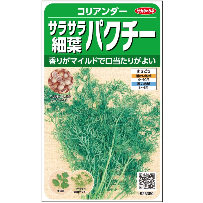 パクチー＿サラサラ細葉パクチー＿ハーブ　春秋兼用