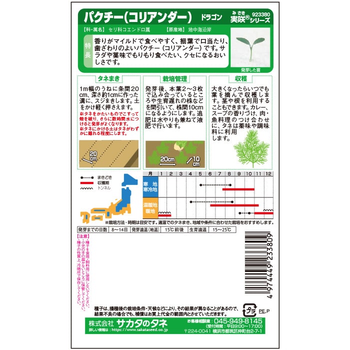 パクチー＿サラサラ細葉パクチー＿ハーブ　春秋兼用