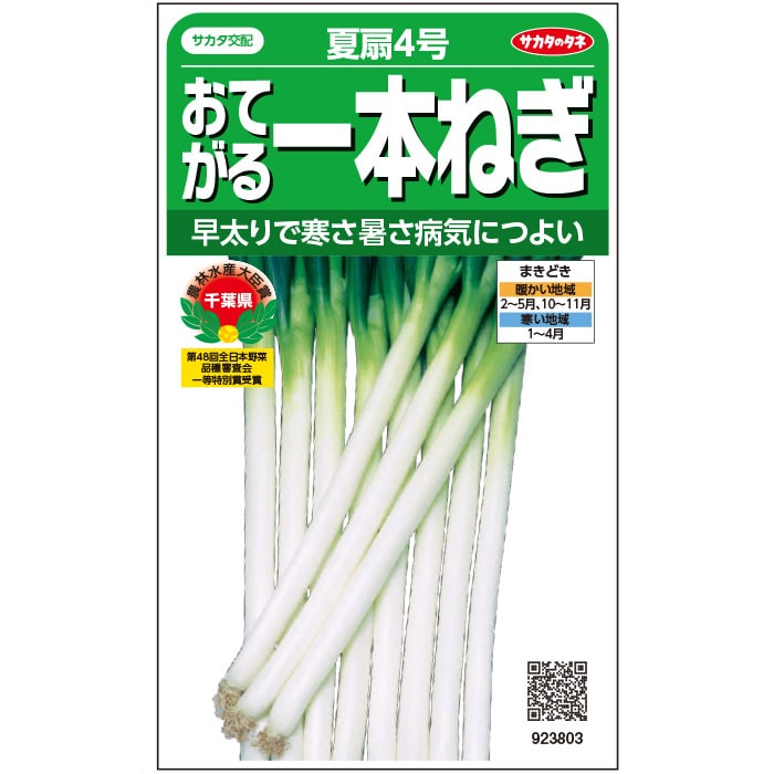 ネギ＿おてがる一本ねぎ＿夏扇４号　春秋兼用
