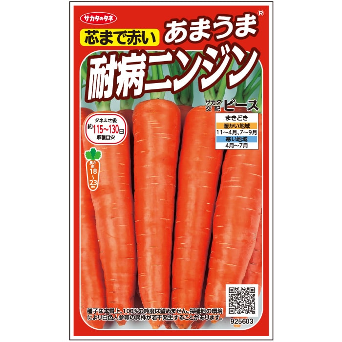 ニンジン＿あまうま耐病ニンジン　春秋兼用