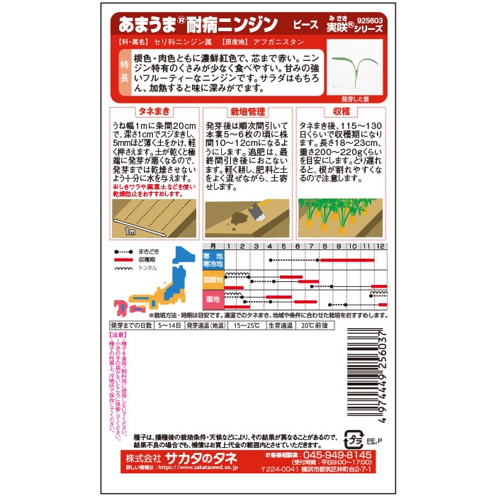 ニンジン＿あまうま耐病ニンジン　春秋兼用