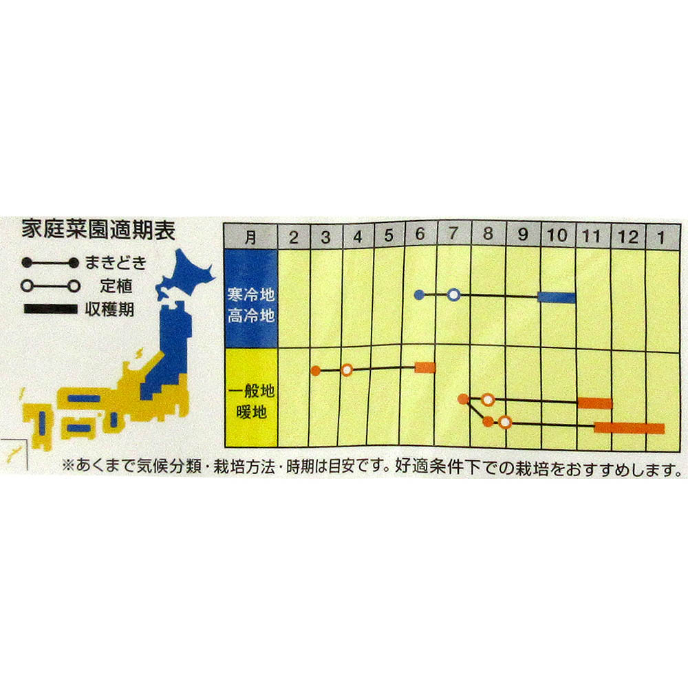 サトウくん　極甘キャベツ