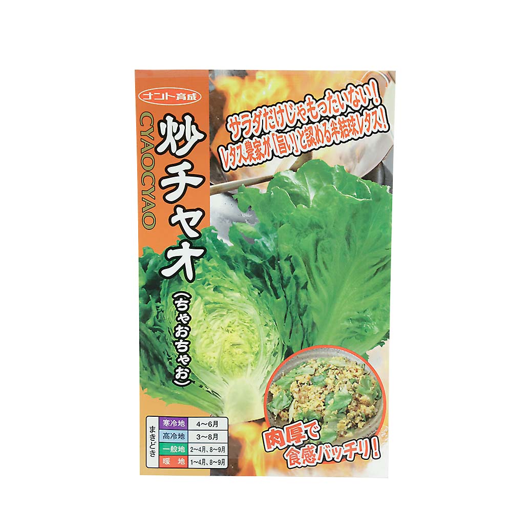 炒チャオ　レタス