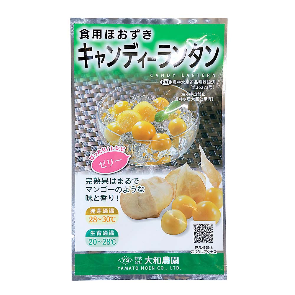 キャンディーランタン　春まき