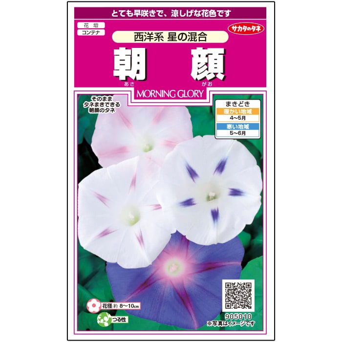 朝顔＿西洋系星の混合　春秋兼用